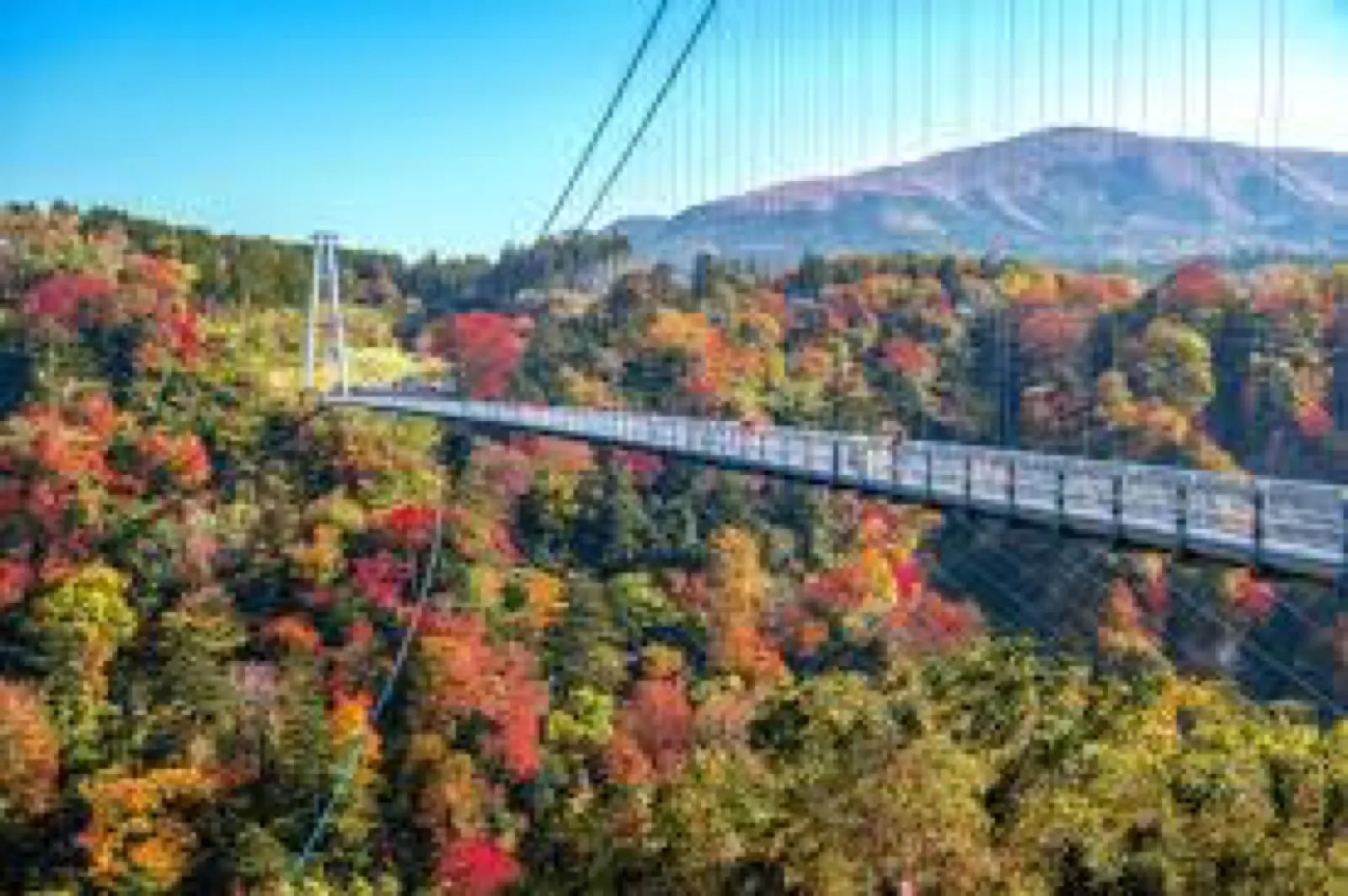ここのえ夢大吊橋